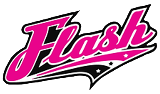MD - Maryland Flash Logo